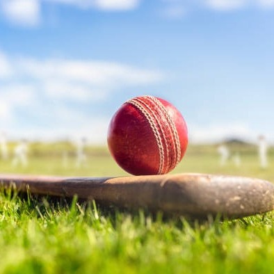 Cricket